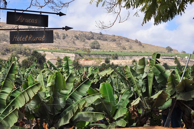 Day Tour in North of Gran Canaria With Wine Tasting - Key Stops