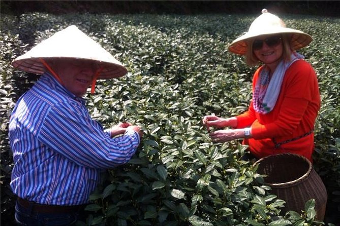 Day Tour to Discover the Secrets of Hangzhous Tea Culture - Highlights of the Day Tour