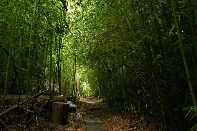 Day Tour to Paronella Park, Lake Barrine and Millaa Millaa Falls - Key Attractions