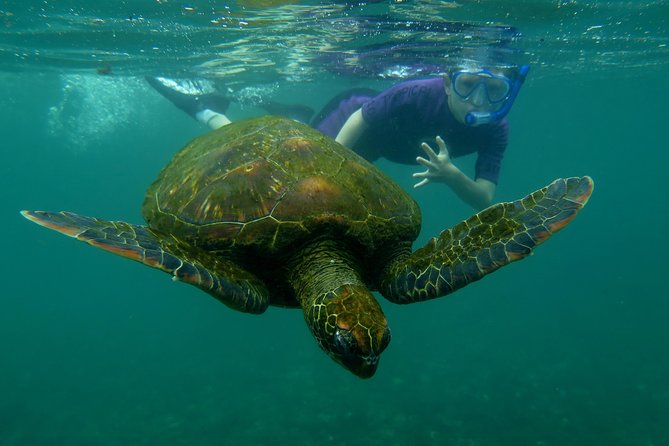 Day Tour to Pinzón Island and La Fé/Palmitas Bay With Snorkeling and Fishing - Snorkeling Experience