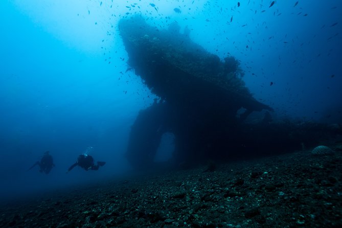 Day Trip Certified Divers - 3 Dives in Tulamben (Pick-Up & Drop-Off Included) - Included Services