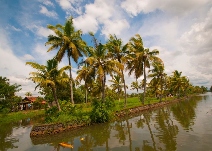 Day Trip to Alleppey With Backwater Experiences - Itinerary Highlights