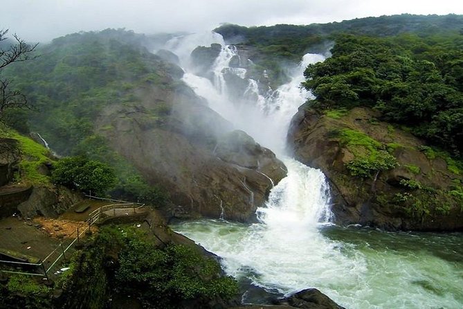 Day Trip to Mollem National Park Including Dudhsagar Falls and Jeep Safari From Goa - Getting to Mollem National Park