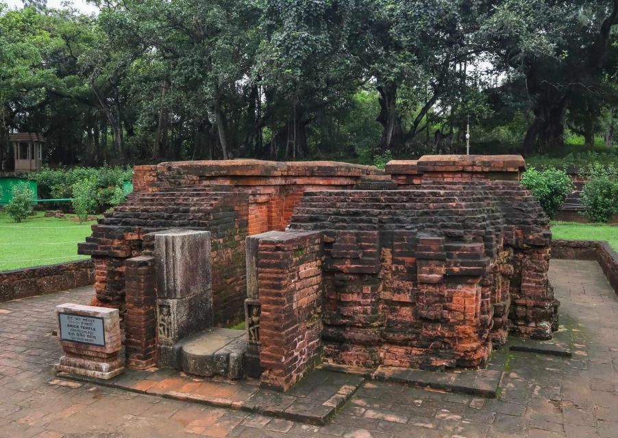 Day Trip to Puri (Guided Private Tour From Bhubaneswar) - Highlights of the Trip