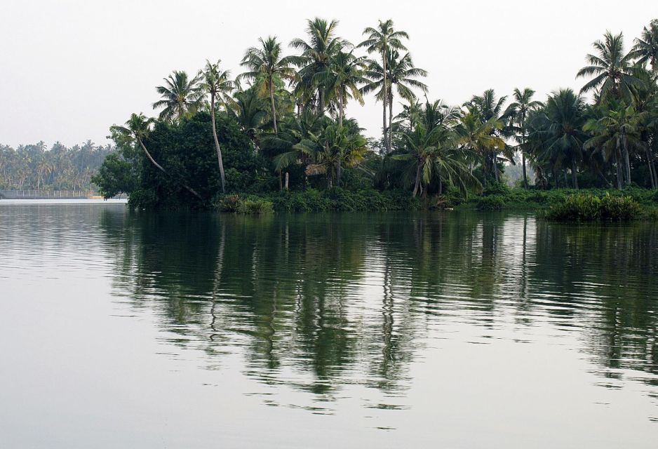 Day Trip to Varkala From Trivandrum (Guided Full Day Tour) - Itinerary Highlights