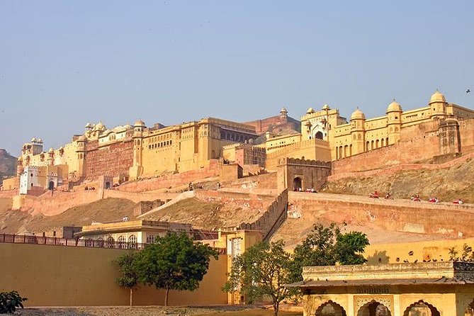 Delhi, Agra, Jaipur & Ranthambhore Tiger Safari 5-Day Tour - Inclusions and Amenities