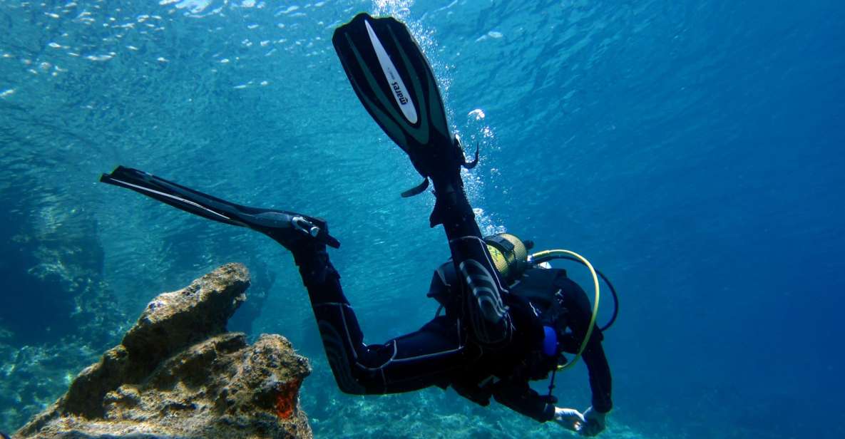 Didim: Scuba Diving Experience W/Hotel Pickup & Lunch - Pricing and Booking Details