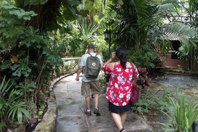 Dilly Dally Walking Tour of Nassau Attractions - Queens Staircase Experience