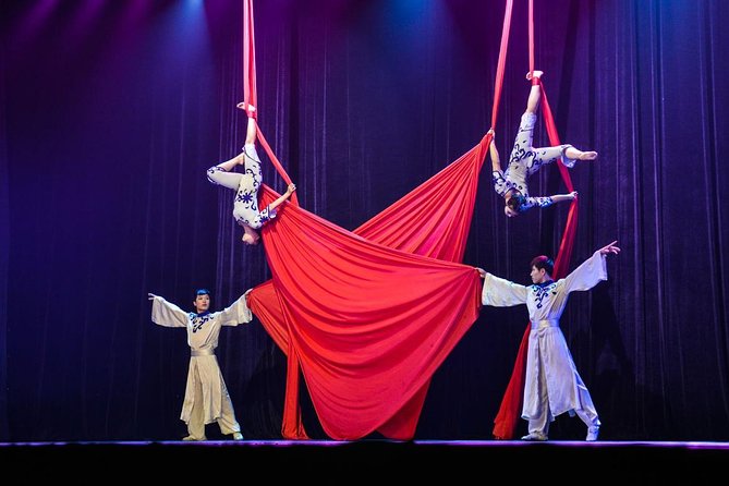 Din Tai Fung Dinner Experience and Acrobatics Show in Shanghai - The Acrobatics Show Experience