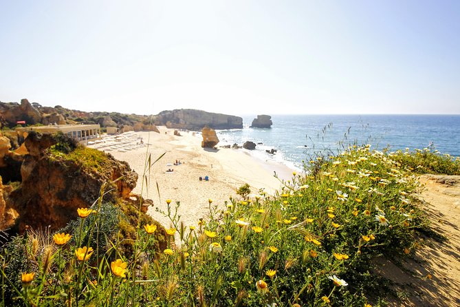 Discover Albufeira in a Tuk Tuk - Bypassing Traffic in Style