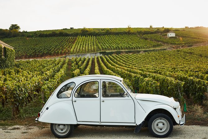 Discover Burgundy - Guided Wine Tasting Experience