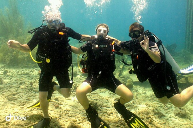 Discover Diving in Curaçao With Transportation Included - Schedule and Operating Hours