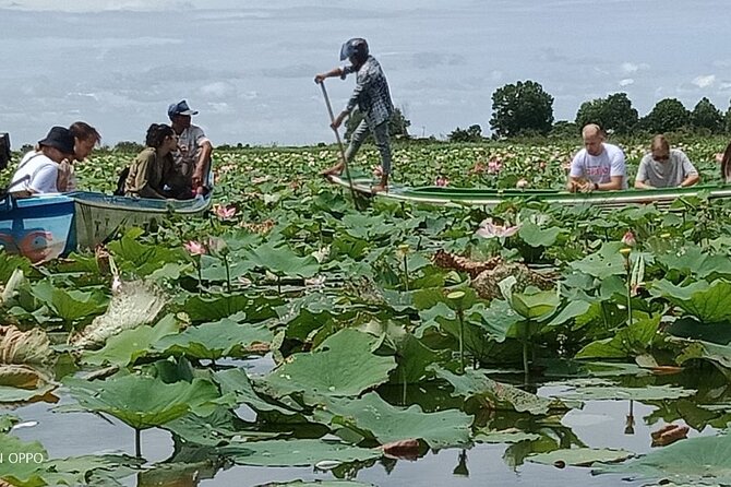 Discover Learn and Experiment the Sacred Lotus Flower - Transportation and Meeting Details