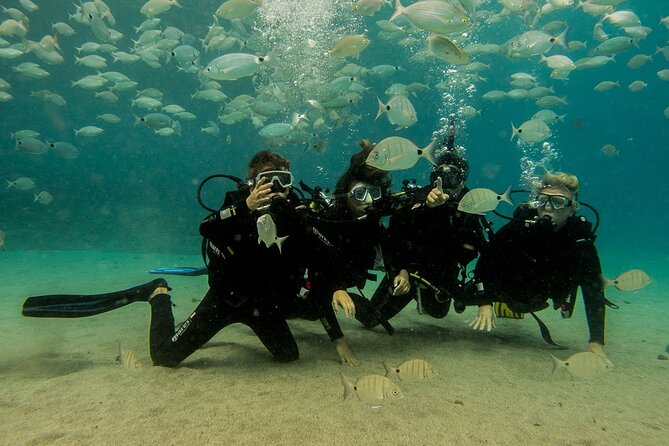 Discover Scuba Diving - Meeting and Pickup Arrangements