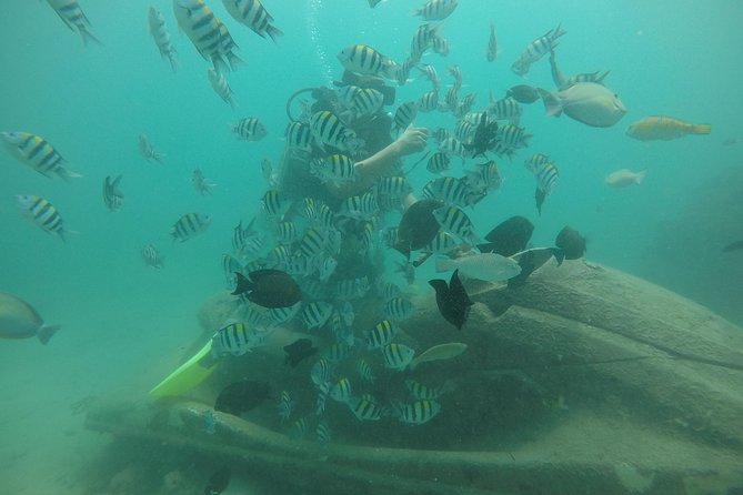 Discover Scuba Diving ( Beginners) Combined With Jet Ski - Whats Included