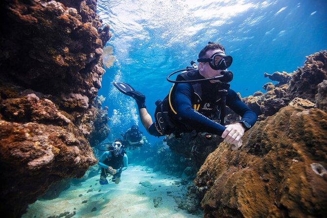 Discover Scuba Diving in Palamos - Location and Meeting Point