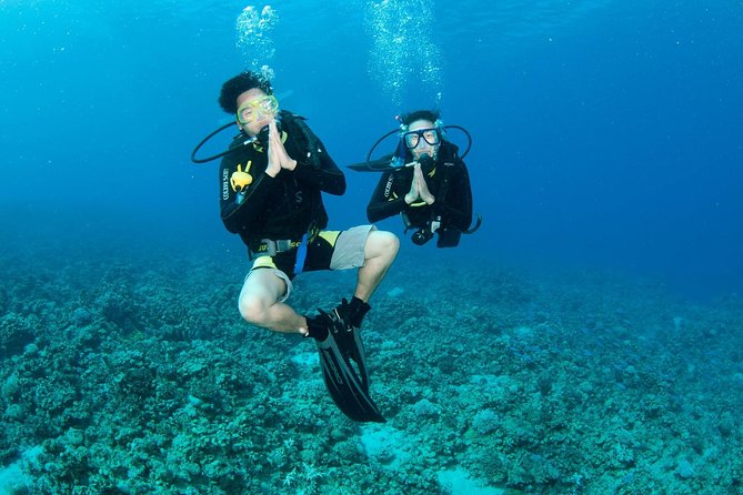 Discover Scuba Diving, Try Diving for Beginners (Starts From Koh Chang) - Location and Accessibility