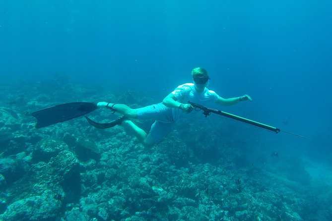 Discover Spearfishing Course - Course Content