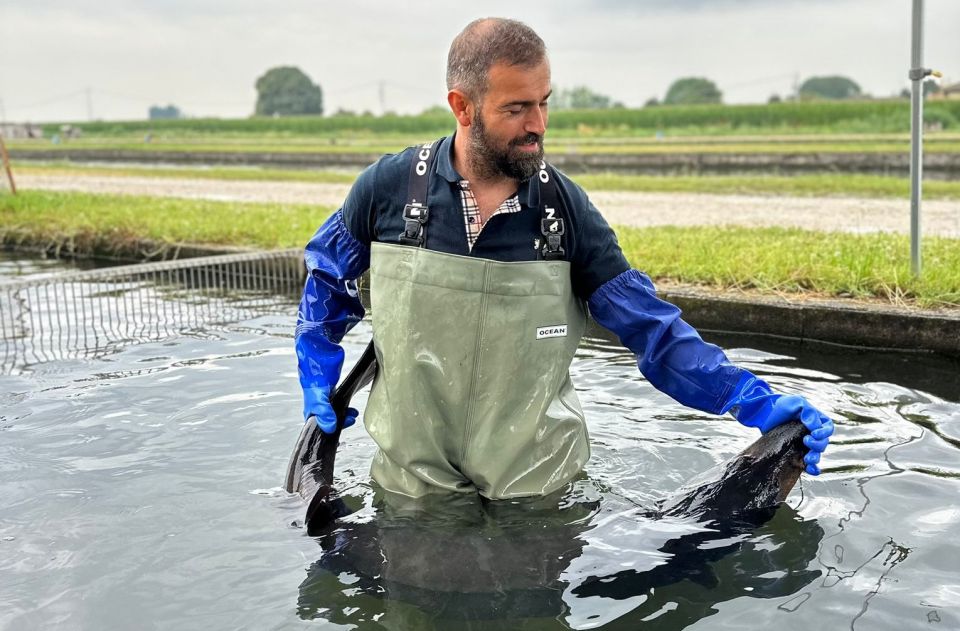 Discovering Caviar, Tour With Tasting (Mn) - Highlights of the Tour