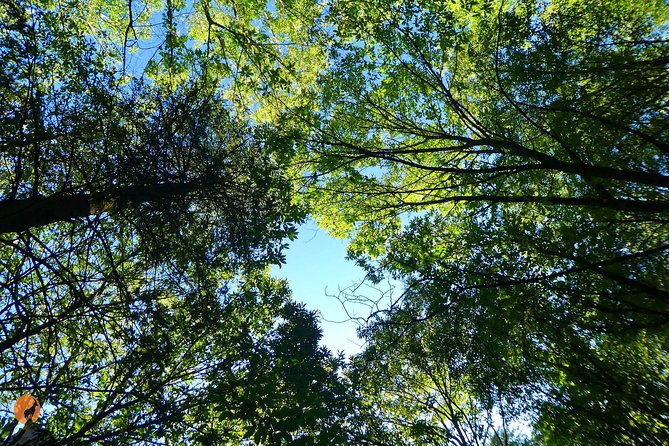 Discovering Nature in Serra Da Lousã - Transportation and Pickup