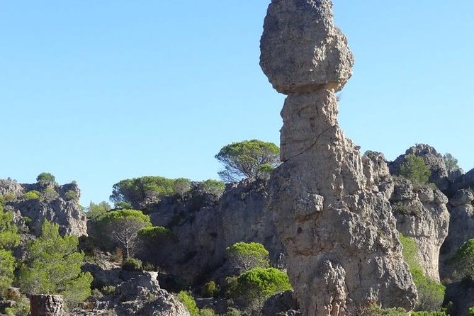 Discovery of the Major Sites of the Hérault From Montpellier - Meeting Point