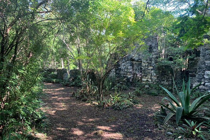 Discovery Tour and Treasure Hunt ( North and Middle Caicos) - Guest Experiences