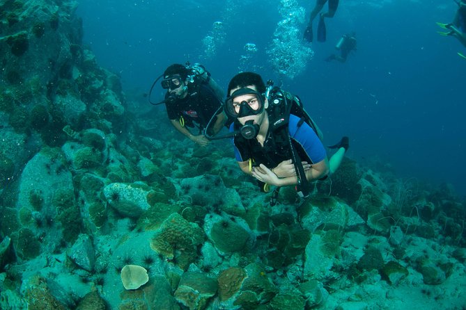 Diving at Koh Chang, Daytrip With 2 Dives - Pickup and Meeting Details