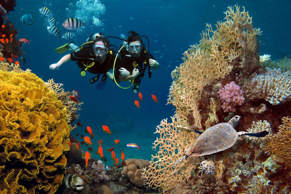 Diving Tour in Alanya - Pricing and Booking Options