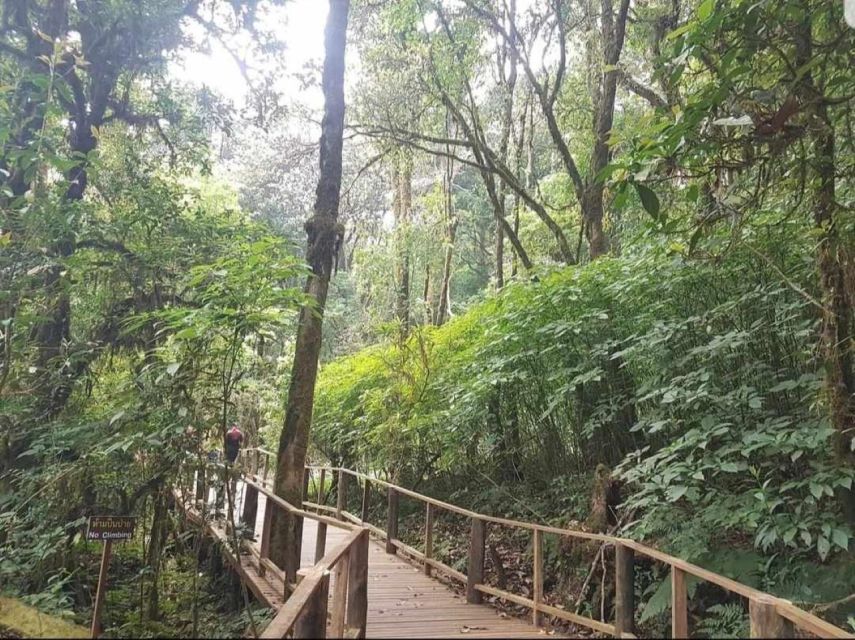 Doi Inthanon: Full-Day Tour With Waterfalls & Hilltribes - Inclusions