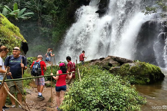 Doi Inthanon National Park and 2 Hours Hiking With Private Tour - Hiking Experience Details