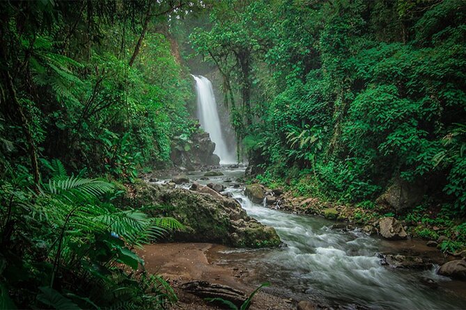 Doka Coffee Tour, Poas Volcano and La Paz Waterfall Day Trip From San Jose - Customer Reviews and Feedback