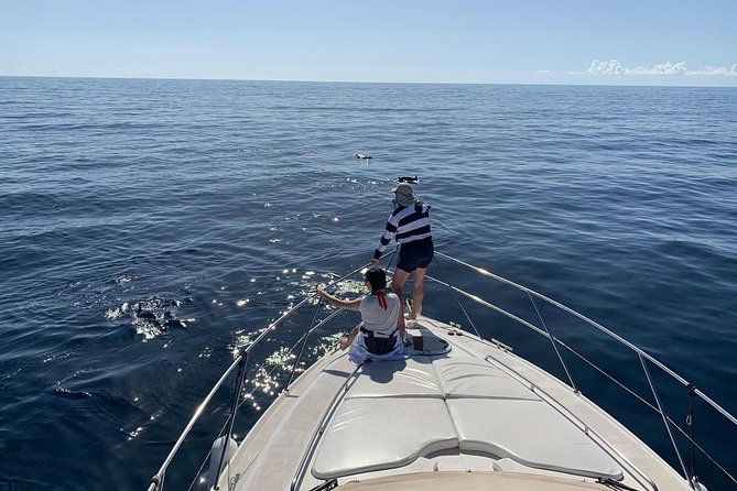Dolphin Searching Tour in Puerto De Mogán (Keeper UNO Boat) - Highlights of the Experience