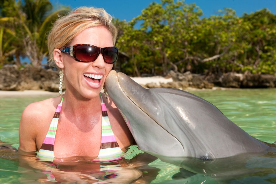 Dolphin Swim Encounter – Dolphin Cove, Ocho Rios, Jamaica - Pricing and Inclusions