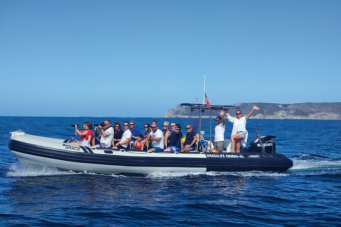 Dolphin Watching and Boat Tour in Sesimbra - Dolphin Species and Habitats