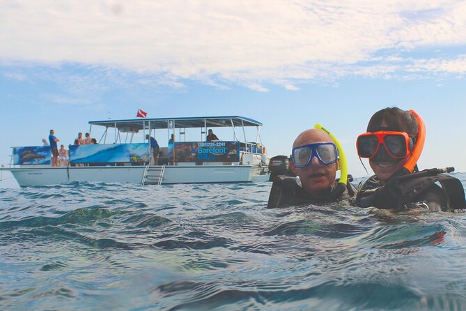Dolphin Watching and Snorkeling Adventure in Key West - Tour Highlights