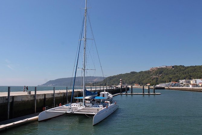 Dolphin Watching Tour by Catamaran From Lisbon - Itinerary and Activities