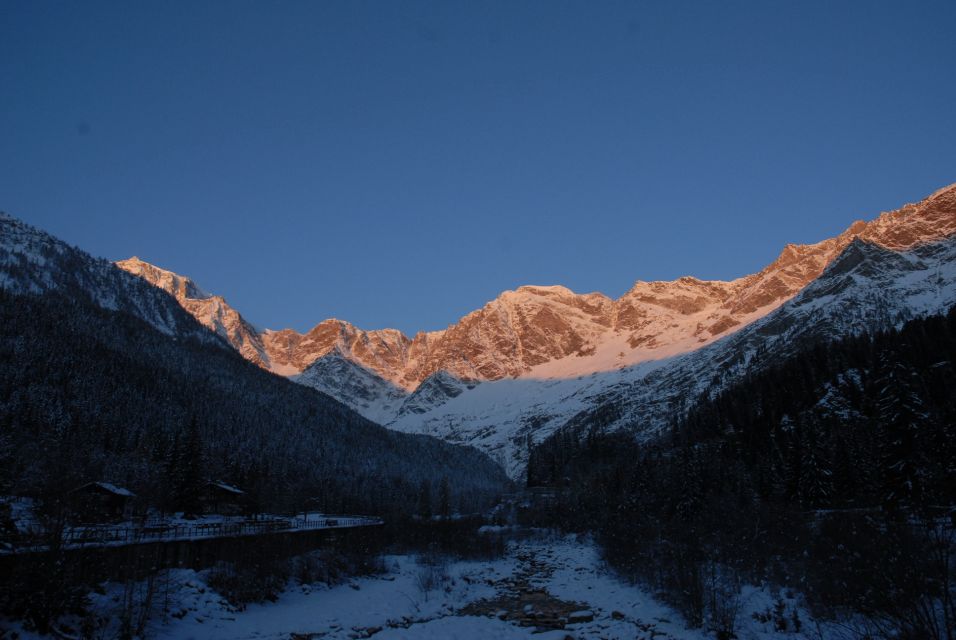 Domodossola: Centovalli Train & Valle Vigezzo Museums Ticket - Scenic Train Journey