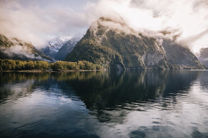 Doubtful Sound Wilderness Cruise From Te Anau - Visitor Experiences