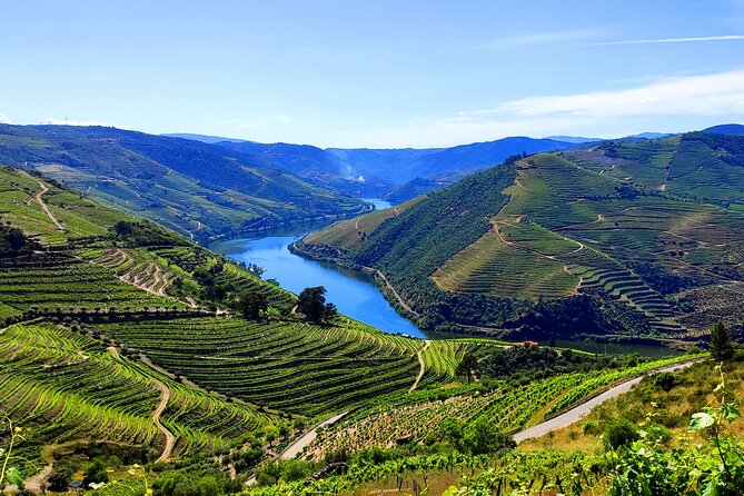 DOURO TOURS - in Pinhão 1 Day All Inclusive €135, DOURO Valley - All-Inclusive Tour Details