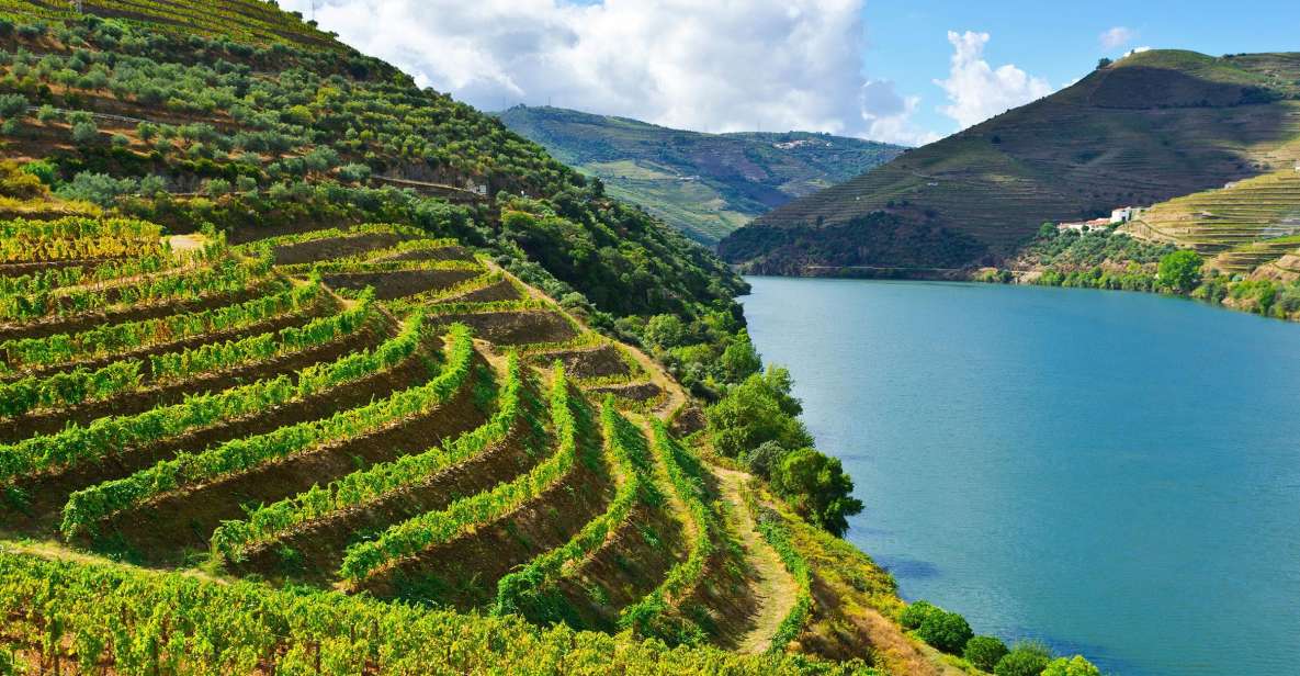 Douro Valley & Amarante - From Porto or Guimarães - UNESCO World Heritage Site