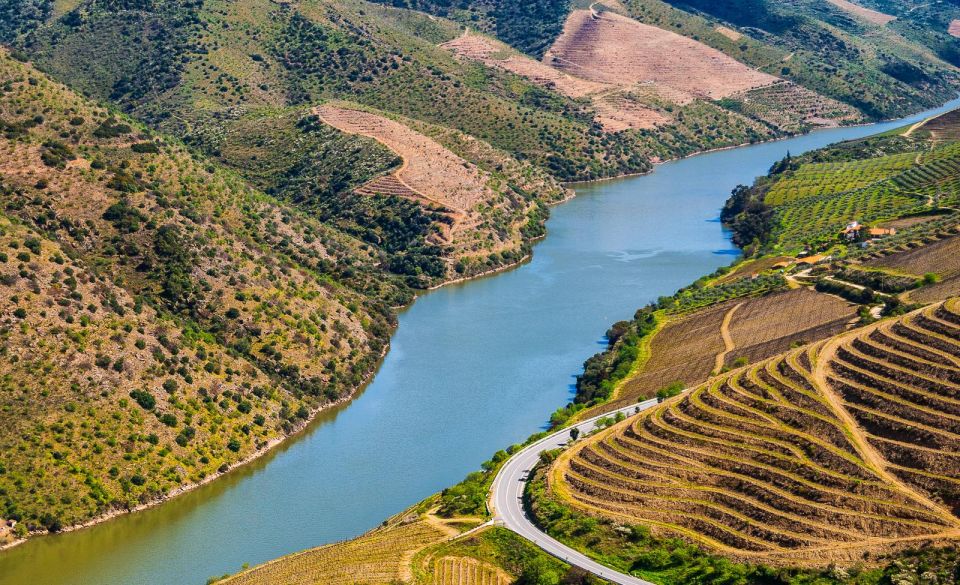 Douro: Wine Tasting and River Cruise Experience - Boat Trip on Douro River