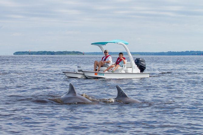 Drive Your Own 2 Seat Fun Go Cat Boat From Collier-Seminole Park - Meeting Point and Schedule
