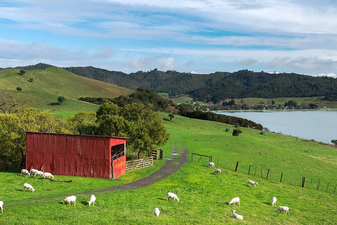 Duder Regional Park Half-Day Walking Tour - Meeting Point Details