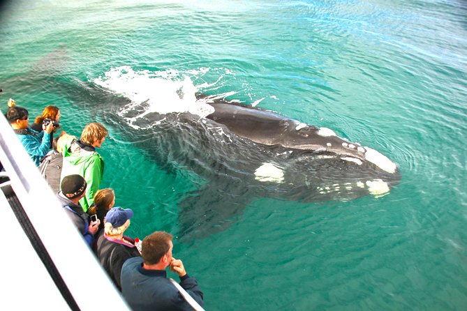 Dunsborough Whale Watching Eco Tour - Boat Features and Amenities