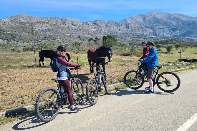 E-Bike Tour + Gourmet Lunch + Wine Tasting (Small Group) - Sample Gourmet Menu