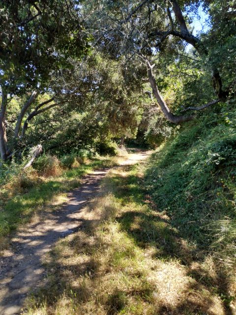 E- Bike Tours on Scenic Trails in and Beyond San Francisco - Breathtaking Views of the City