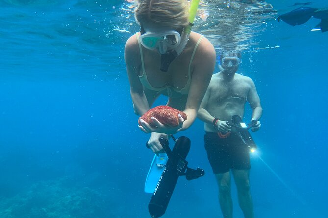 E-Scooter Snorkel With Photo and Video At Turtle Town - Snorkeling Equipment Provided