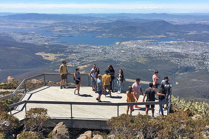 Easy Bike Tour - Mt Wellington Summit Descent & Rainforest Ride - Equipment and Safety