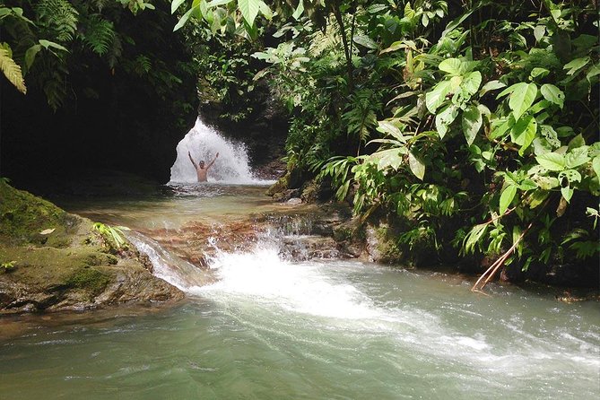 Ebano Waterfalls and Rainforest Safari Tour - Wildlife Encounter Opportunities