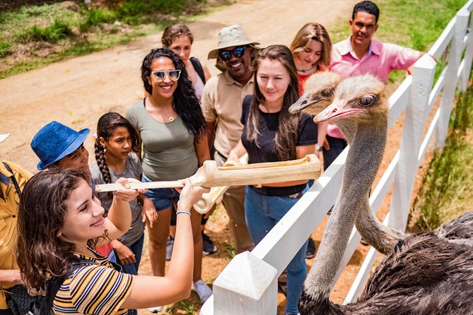 Eco Park Punta Cana by Marinarium Parks - Tour Experience Highlights